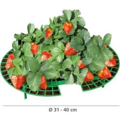 WENKO Support Fraisier, Support Jardinage Anti Limaces Et Escargots, Lot De 15, Plastique Résistant, Diamètre Réglable 31 à 40 Cm, Vert 6 WENKO Support Fraisier, Support Jardinage Anti Limaces Et Escargots, Lot De 15, Plastique Résistant, Diamètre Réglable 31 à 40 Cm, Vert -Outil de jardin motorisé Soldes 19259727 3