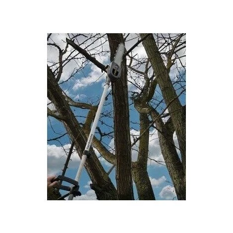 Fartools OMF 800 Outil Modulable 4 En 1 Jardin Puissance 800 W Noir 4 Fartools OMF 800 Outil Modulable 4 En 1 Jardin Puissance 800 W Noir – Image 4