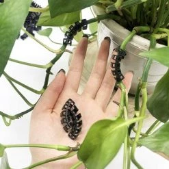 GALOZZOIT Clips De Support Pour Plantes, 200 Pièces 90 Degrés Formateur De Tiges De Plantes Cintreuses De Plantes Clips D'Entraînement à Faible Stress -Outil de jardin motorisé Soldes 59853897 5