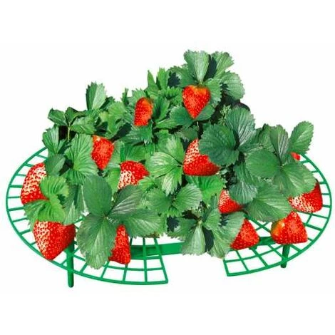 WENKO Support Fraisier, Support Jardinage Anti Limaces Et Escargots, Plastique Résistant, Diamètre Réglable 31 à 40 Cm, Vert - Vert 2 WENKO Support Fraisier, Support Jardinage Anti Limaces Et Escargots, Plastique Résistant, Diamètre Réglable 31 à 40 Cm, Vert - Vert – Image 2