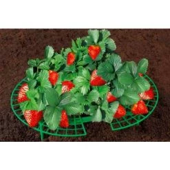 WENKO Support Fraisier, Support Jardinage Anti Limaces Et Escargots, Plastique Résistant, Diamètre Réglable 31 à 40 Cm, Vert - Vert 9 WENKO Support Fraisier, Support Jardinage Anti Limaces Et Escargots, Plastique Résistant, Diamètre Réglable 31 à 40 Cm, Vert - Vert -Outil de jardin motorisé Soldes 6580376 5