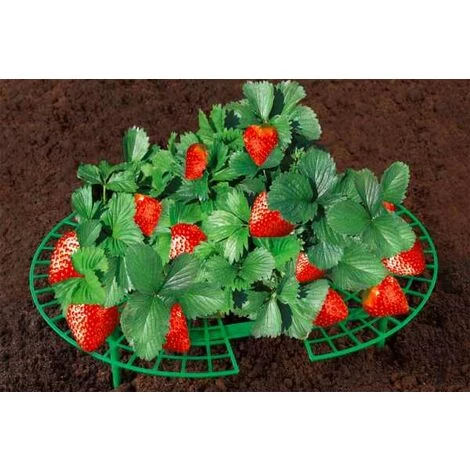 WENKO Support Fraisier, Support Jardinage Anti Limaces Et Escargots, Plastique Résistant, Diamètre Réglable 31 à 40 Cm, Vert - Vert 5 WENKO Support Fraisier, Support Jardinage Anti Limaces Et Escargots, Plastique Résistant, Diamètre Réglable 31 à 40 Cm, Vert - Vert – Image 5